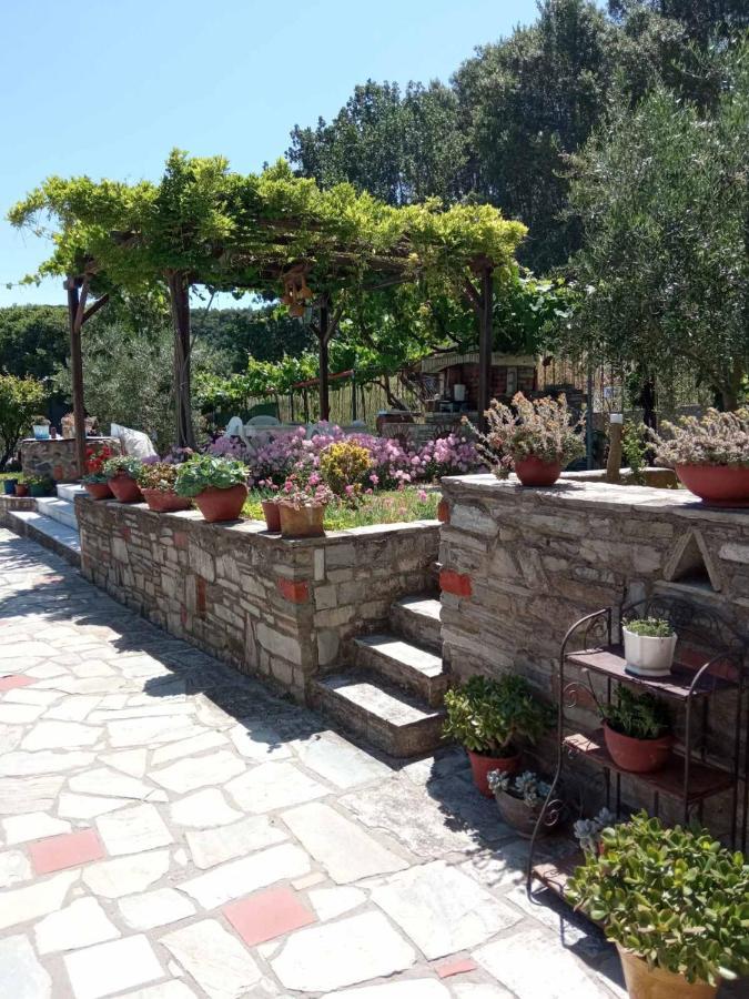 Sotiria House Apartment Sea View Lovely Garden Ierissos Exterior foto